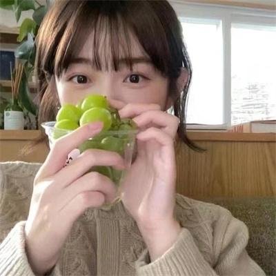 双面名模