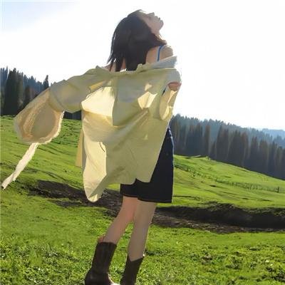 我的新野蛮女友
