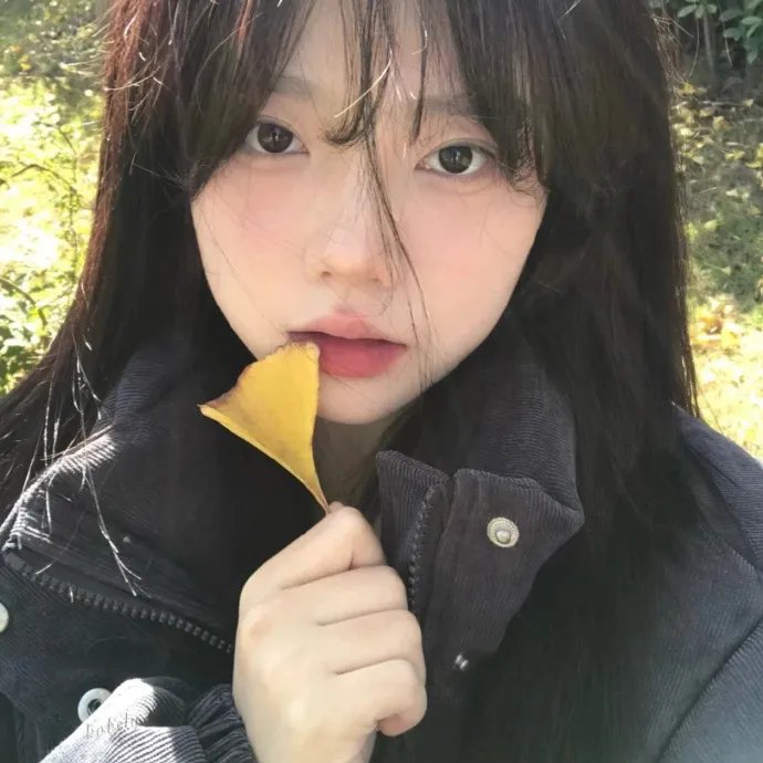 庄园梦中人